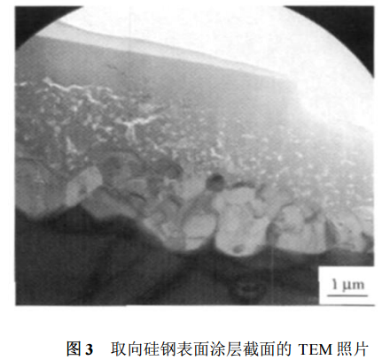 取向矽鋼表麵塗層截麵的 TEM 照片