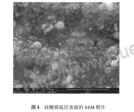 矽酸鎂底層表麵的 SEM 照片